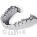 Dental Model Resin RAYSHAPE